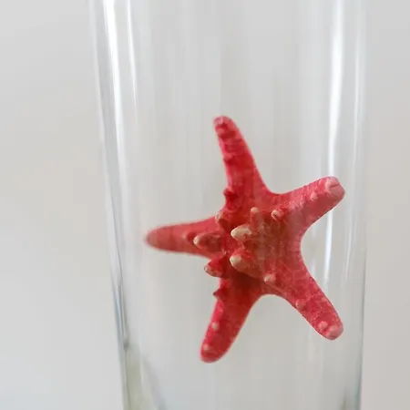 El Atico De Marinas Free Parking By Cadiz4rentals شقة