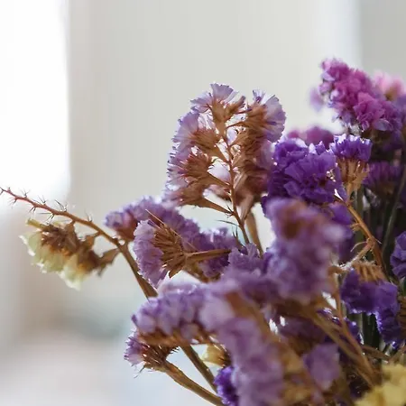 El Atico De Marinas Free Parking By Cadiz4rentals *