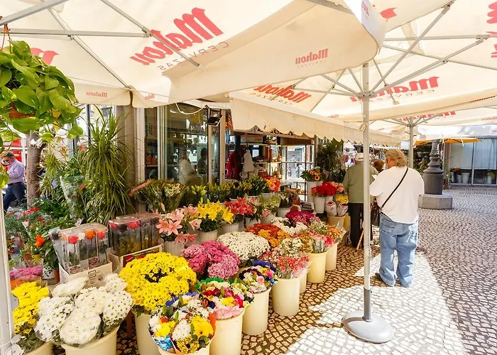 El Atico De Marinas Free Parking By Cadiz4rentals * カディス