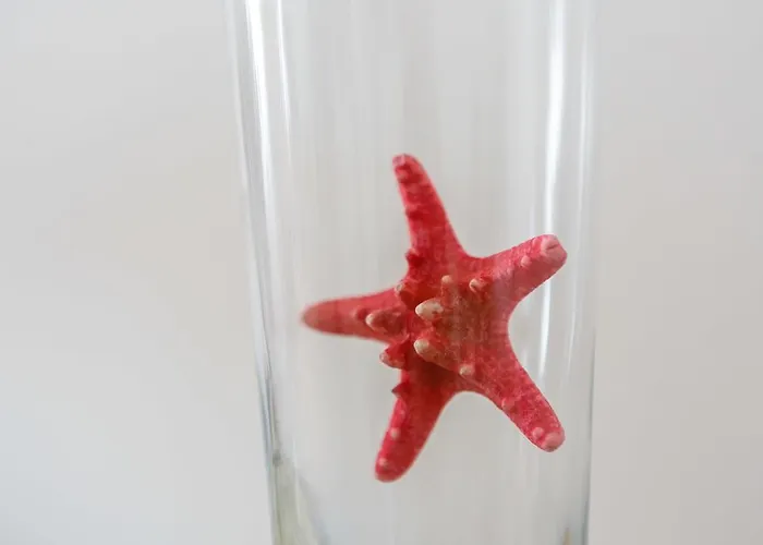 El Atico De Marinas Free Parking By Cadiz4rentals アパート