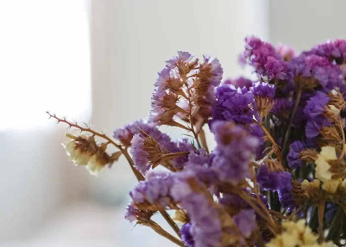 El Atico De Marinas Free Parking By Cadiz4rentals *