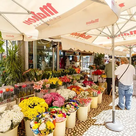 El Atico De Marinas Free Parking By Cadiz4rentals * Cadiz